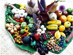 農(nóng)產(chǎn)品溯源系統(tǒng)具有哪些優(yōu)勢(shì)？