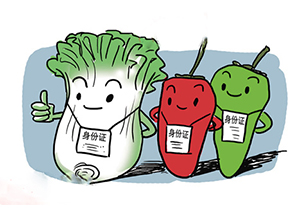 食品追溯系統(tǒng)帶來(lái)的優(yōu)勢(shì)有哪些？